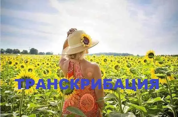 Скачать курс «Транскрибация. Высокие вибрации (Lee)» — слив курса