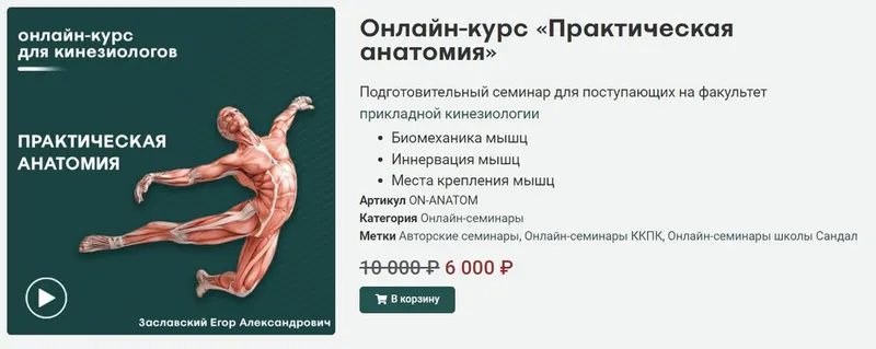 Скачать курс «[Сандал] Практическая анатомия (Егор Заславский)» — слив курса