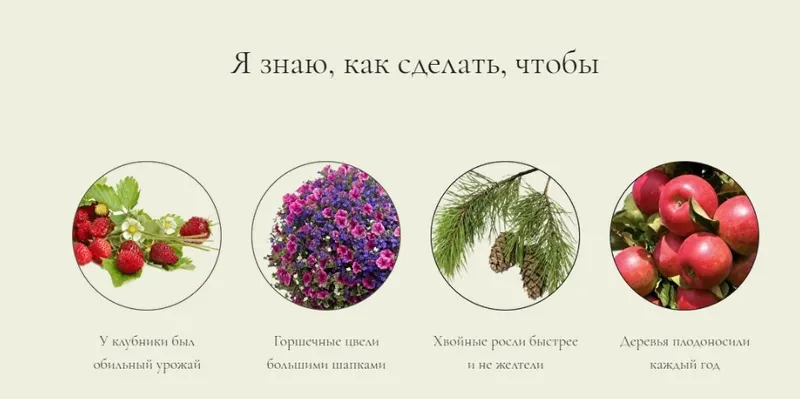Скачать курс «Заботы садовода: Весна. Тариф Дачник (Анна Акинина)» — слив курса