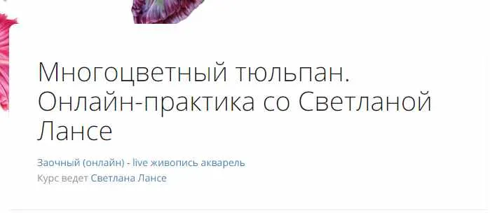Скачать курс «Многоцветный тюльпан (Светлана Лансе)» — слив курса