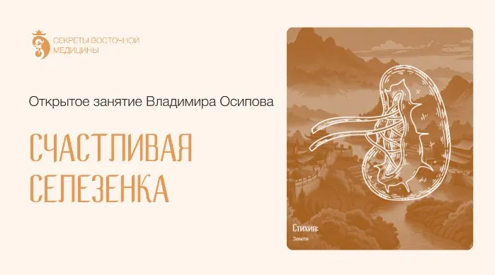 Скачать курс «Счастливая Селезенка. Тариф VIP (Владимир Осипов)» — слив курса