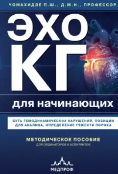 Обложка курса «Эхокардиография для начинающих. Суть гемодинамических нарушений, позиции для анализа, определение тяжести порока (Петр Чомахидзе)»