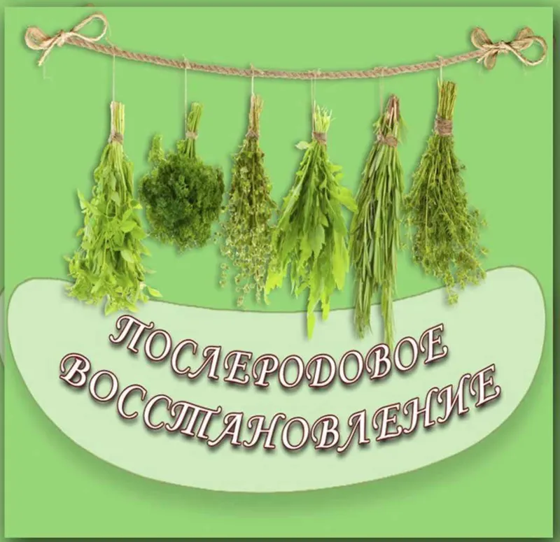 Скачать курс «Лекция Послеродовое восстановление (Зифа Асташко)» — слив курса
