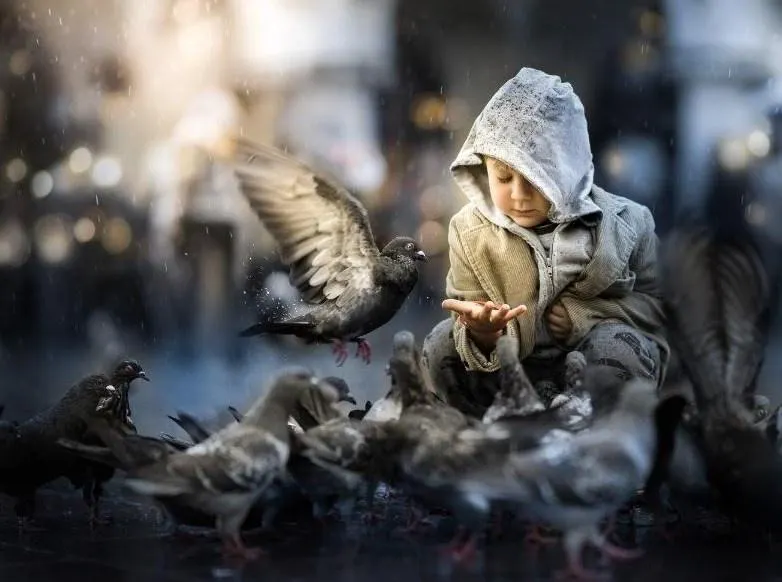 Скачать курс «Pigeons… (Iwona Podlasińska) на английском» — слив курса