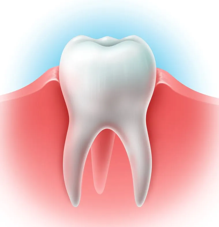 Скачать курс «Профилактика проблем зубов и дёсен» — слив курса