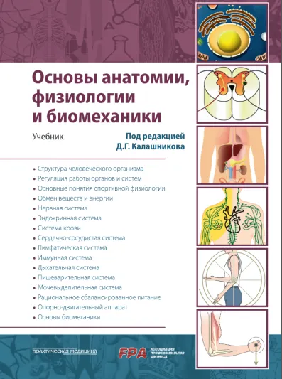 Скачать курс «Основы анатомии, физиологии и биомеханики (Дмитрий Калашников)» — слив курса