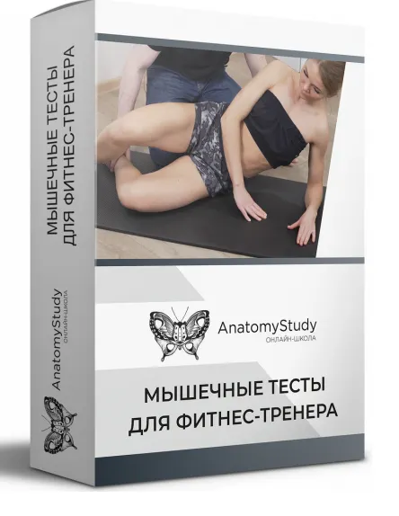 Скачать курс «[anatomystudy] Мышечные тесты для фитнес тренера 2021 (Андрей Богатырев)» — слив курса
