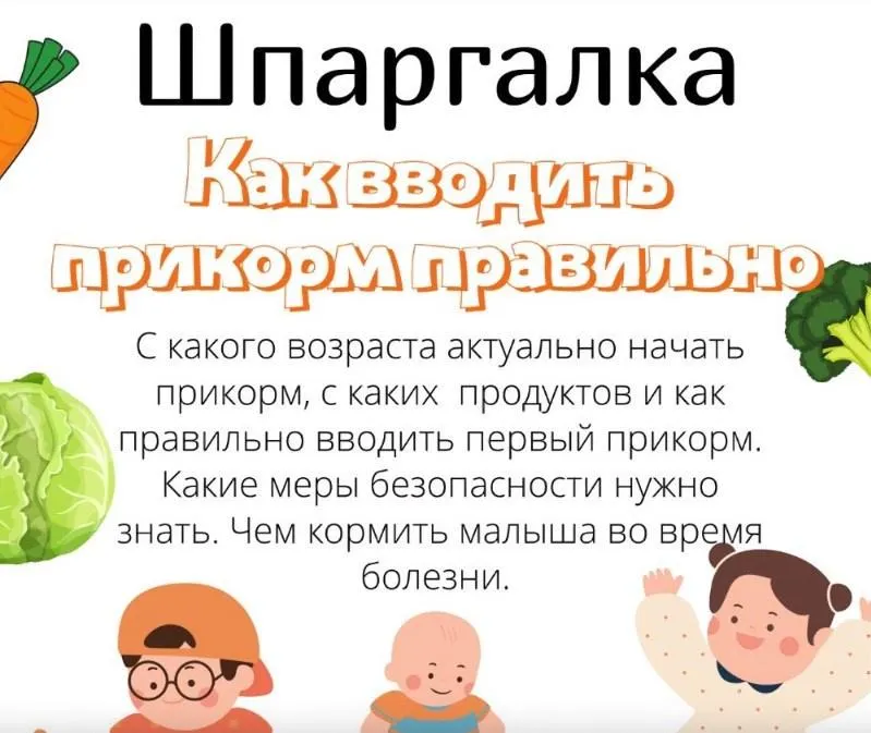 Скачать курс «[kpuctakl] Шпаргалка - как вводить прикорм правильно (Кристина Трофимова)» — слив курса