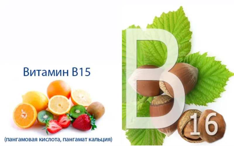 Скачать курс «[Путь к здоровью] Зачем нам нужны b15 и b16? (Ольга Кондратьева)» — слив курса