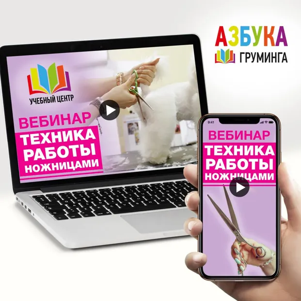 Скачать курс «[Азбука Груминга] Техника работы ножницами (Дарья Казимова)» — слив курса