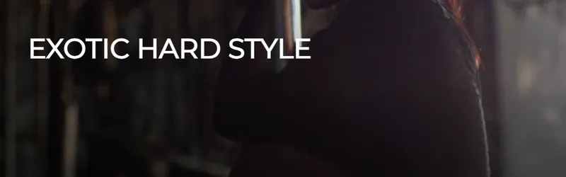 Скачать курс «Exotic Hard Style (Нина Козуб)» — слив курса