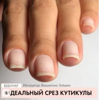 Скачать курс «[parisnail] Идеальный срез кутикулы. Декабрь 2019 (Вельмитина Зайцева)» — слив курса