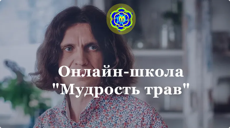 Скачать курс «Мудрость трав. Тариф Слушатель (Юрий Курский)» — слив курса