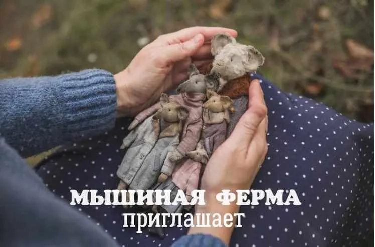 Скачать курс «Мышиная Ферма (Наталья Суранова)» — слив курса