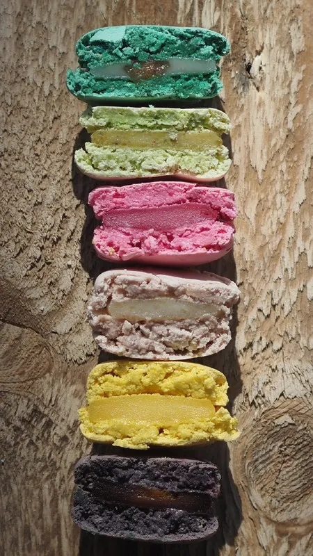 Скачать курс «Macaron Holiday Edition (Таня Силаева)» — слив курса