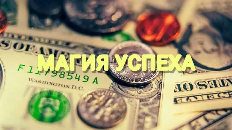 Скачать курс «Магия успеха (Екатерина Анисимова)» — слив курса