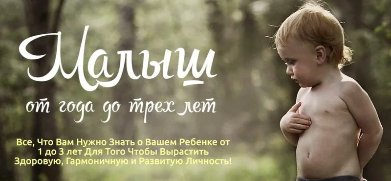 Скачать курс «Малыш от года до трех лет (Ольга Свистунова)» — слив курса