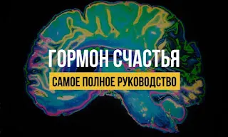 Скачать курс «[Marta-NG] Гормон счастья. Дофамин: самое полное руководство (Марта Николаева-Гарина)» — слив курса