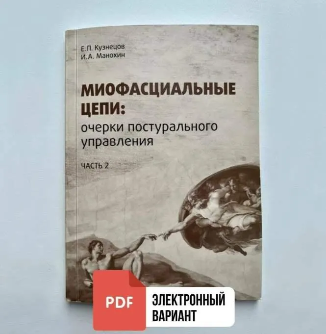 Скачать курс «Миофасциальные цепи: очерки постурального управления (Игорь Манохин, Евгений Кузнецов)» — слив курса