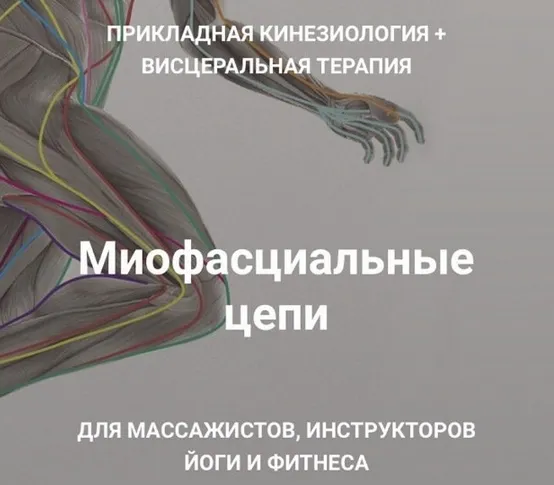 Скачать курс «Миофасциальные цепи. Прикладная кинезиология + висцеральная терапия (Султан Фазлыахметов)» — слив курса