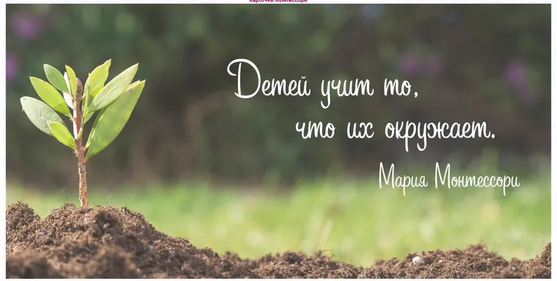 Скачать курс «[montessori-print.store] 45 карточек Монтессори для расширения словарного запаса ребёнка» — слив курса