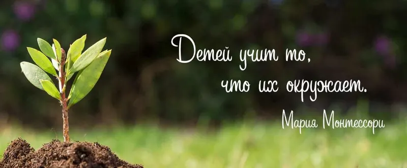 Скачать курс «[montessori-print.store] Карточки Монтессори - цвет, пространственное мышление» — слив курса
