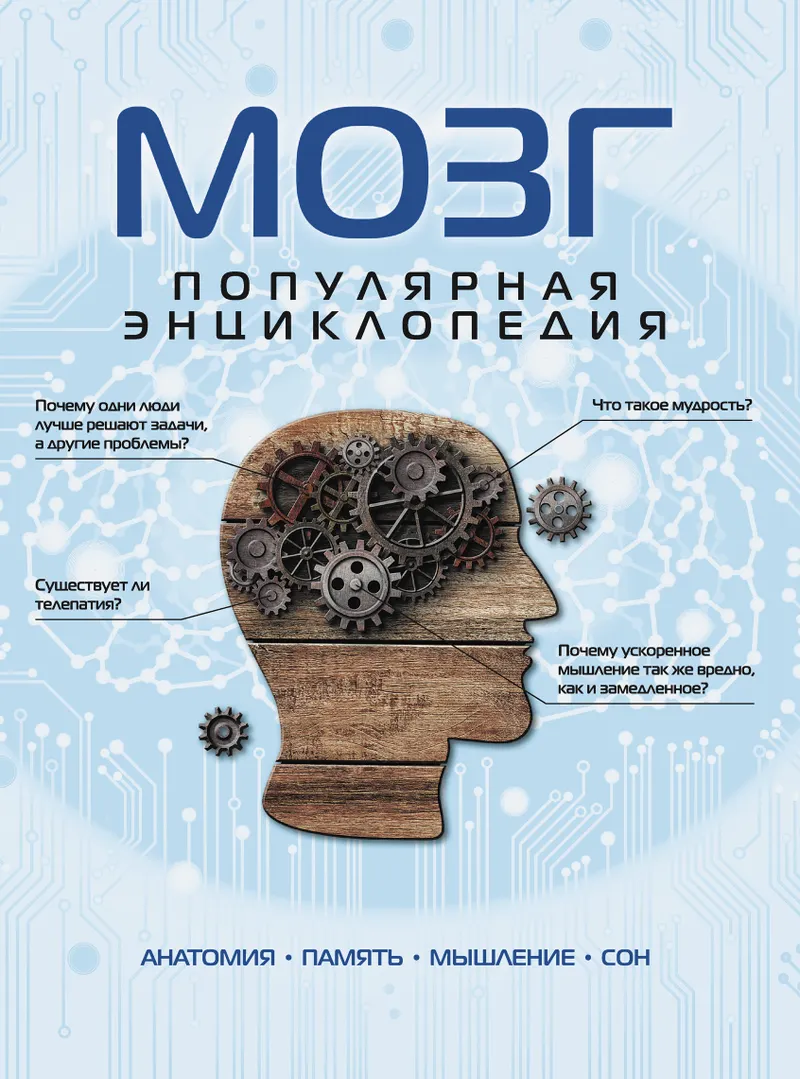 Скачать курс «Мозг: популярная энциклопедия (Андрей Дианов)» — слив курса