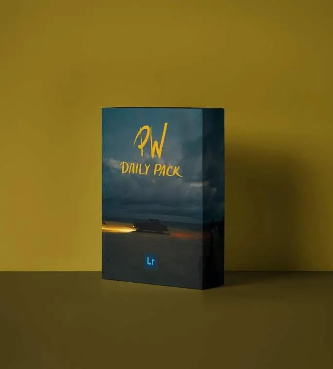 Скачать курс «Набор пресетов PW Daily Pack (Полина Вашингтон)» — слив курса