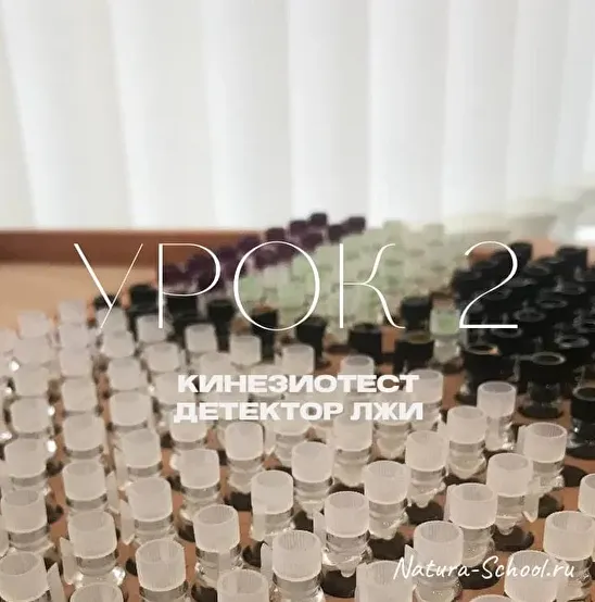 Скачать курс «[Natura-School] Урок 2 "Кинезиотест - детектор лжи" (Олег Гитбиндер)» — слив курса