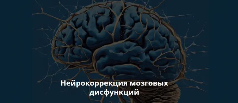 Обложка курса «Нейрокоррекция мозговых дисфункций. Ноябрь 2024 (Салима Саиди)»
