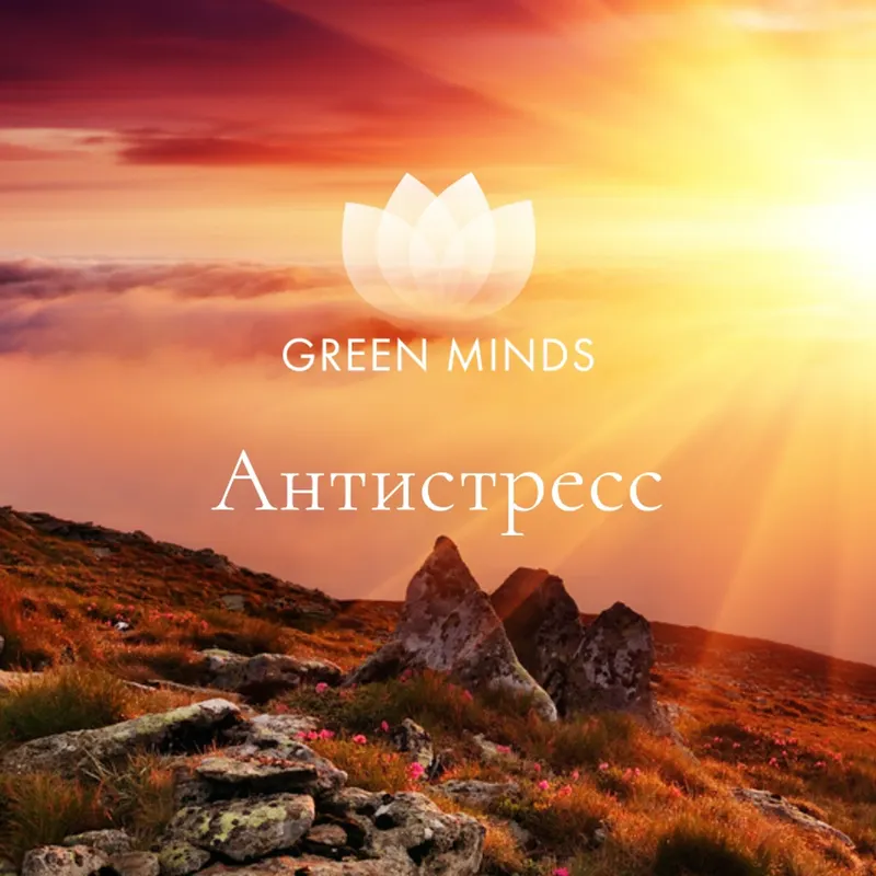 Скачать курс «Нейромедитация Green Minds. Антистресс (Алексей Ситников)» — слив курса