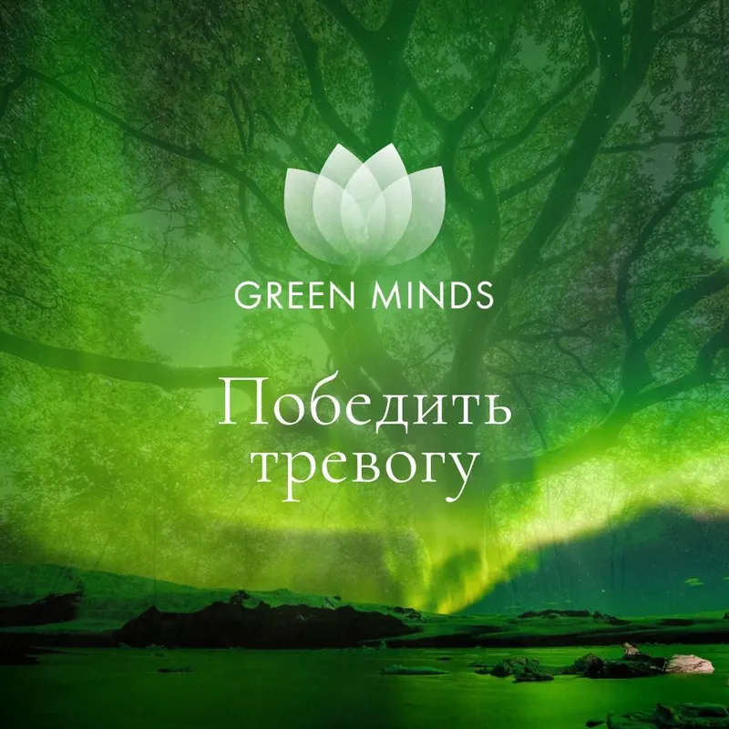 Скачать курс «Нейромедитация Green Minds Победить тревогу (Алексей Ситников)» — слив курса