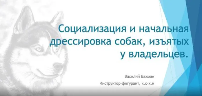Скачать курс «[НИИДПО] Социализация и начальная дрессировка собак, изъятых у владельцев (Василий Бахман)» — слив курса