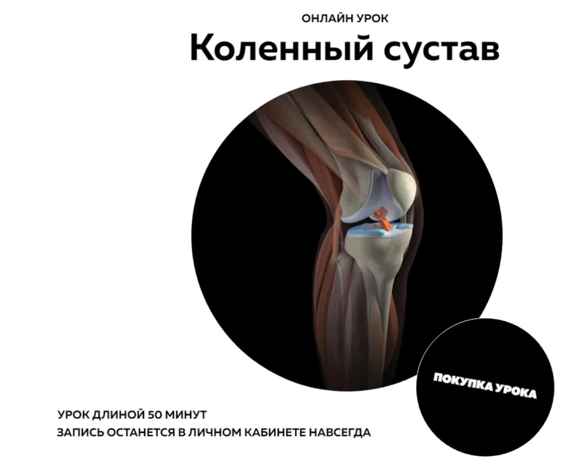 Скачать курс «[NL-School] Коленный сустав (Кирилл Копыльцов)» — слив курса