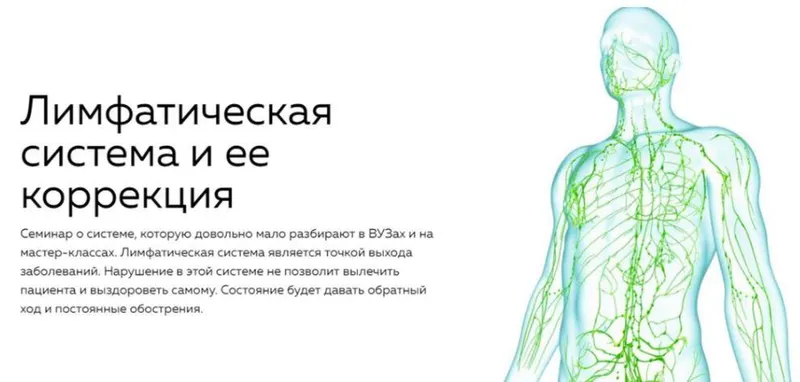 Скачать курс «[Nl-School] Лимфатическая система и ее коррекция (Кирилл Копыльцов)» — слив курса