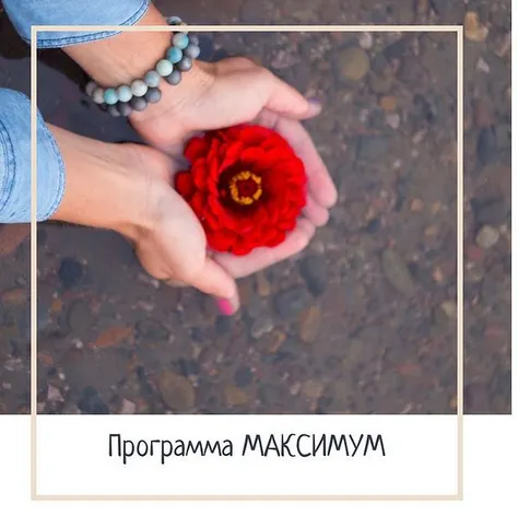 Скачать курс «[НОЦ Компас] Программа Максимум. Курс для логопедов (Марина Самойленко, Ирина Новожилова)» — слив курса