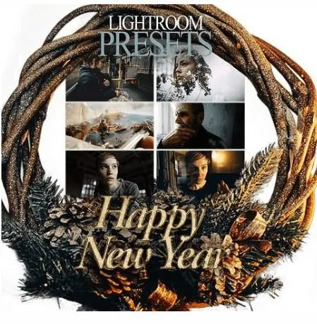 Скачать курс «Новогодние пресеты Lightroom / Happy New Year Lightroom Presets (Dmitry Rogozhkin)» — слив курса