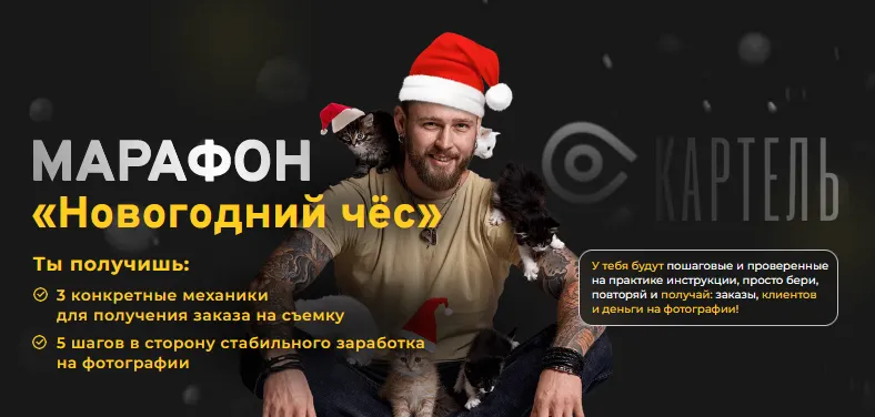 Скачать курс «Новогодний чёс + Соцсети (Игорь Цаплин)» — слив курса
