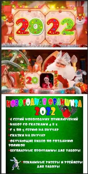 Скачать курс «Новогодняя франшиза 2022 года (Таня Сенькова)» — слив курса