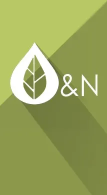 Скачать курс «[O&Ncosmetics] Вебинар по кремоварению» — слив курса