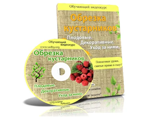 Скачать курс «Обрезка кустарников. Плодовые. Декоративные. Уход за ними (Николай Рабушко)» — слив курса