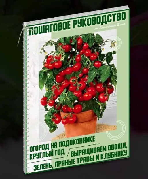 Скачать курс «Огород на подоконнике круглый год. Выращиваем овощи, зелень, пряные травы и клубнику. Премиум-комплект (Екатерина Весна)» — слив курса