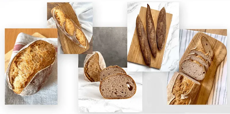 Скачать курс «[Oh my Bread] Безглютеновый хлеб. Тариф Основа (Анна Ботти, Светлана Байскова)» — слив курса