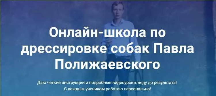 Скачать курс «Онлайн-школа по дрессировке собак (Павел Полижаевский)» — слив курса