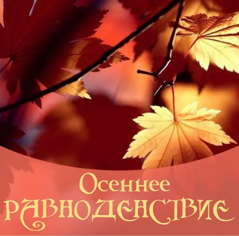 Скачать курс «Осеннее равноденствие (Алена Полынь)» — слив курса