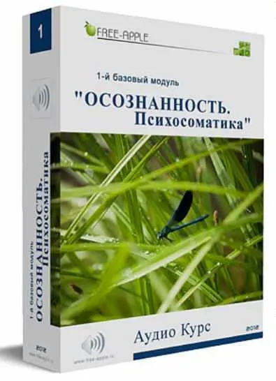 Скачать курс «Осознанность. Психосоматика. 1-й базовый модуль (Екатерина Шморгун)» — слив курса