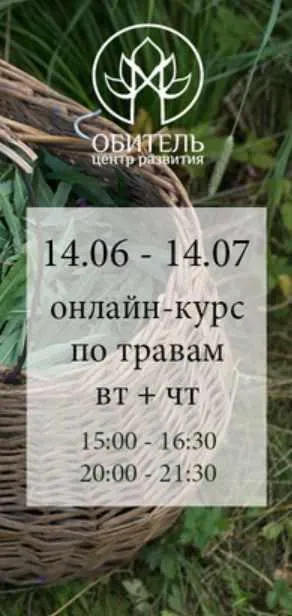 Скачать курс «Основы травничества (Яна Горбовская)» — слив курса