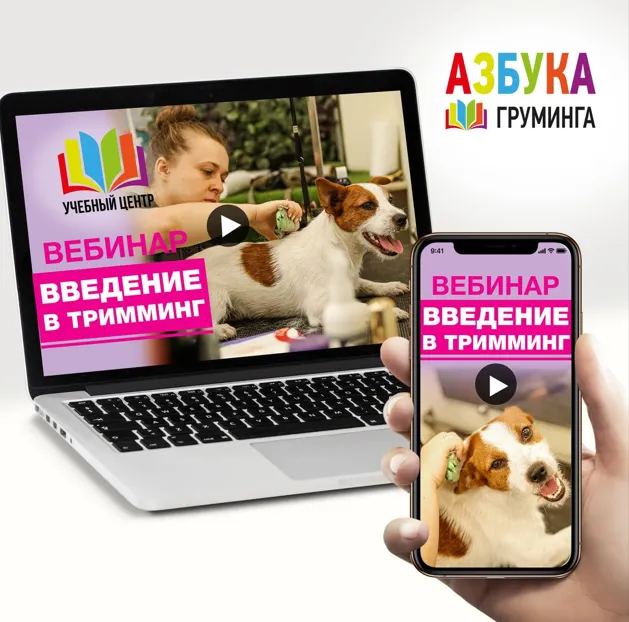 Скачать курс «[Азбука Груминга] Тримминг для начинающих (Ксения Селезнёва)» — слив курса
