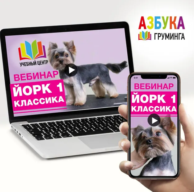 Скачать курс «[Азбука Груминга] Стрижка Йорка для начинающих (Дарья Казимова)» — слив курса