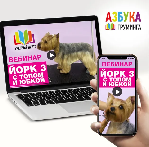 Скачать курс «[Азбука Груминга] Стрижка Йорка. С топом и юбкой (Дарья Казимова)» — слив курса